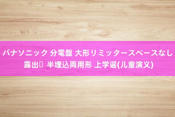 パナソニック 分電盤 大形リミッタースペースなし 露出・半埋